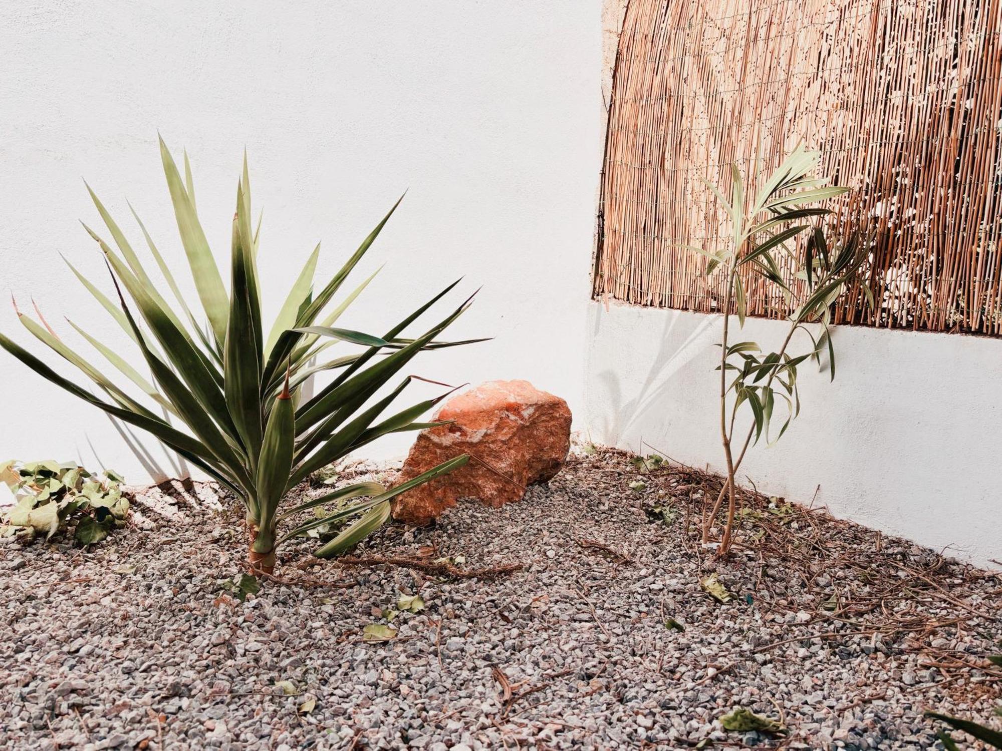 Appartement Avec Jardin Privatif A 300M De La Plage *2* Canet-en-Roussillon Exteriér fotografie